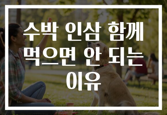 수박 인삼 함께 먹으면 안 되는 이유