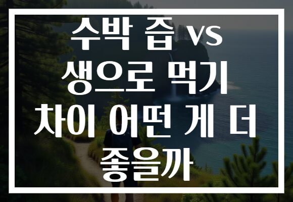 수박 즙 vs 생으로 먹기 차이 어떤 게 더 좋을까