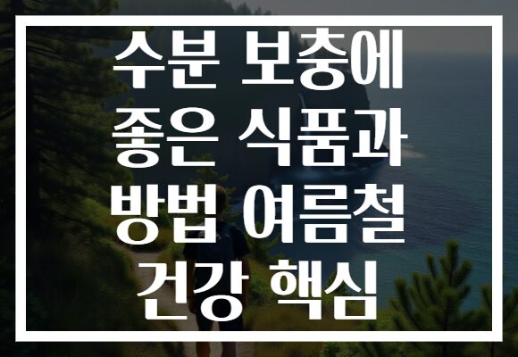 수분 보충에 좋은 식품과 방법 여름철 건강 핵심 수분 보충에 좋은 식품과 방법 여름철 건강 핵심