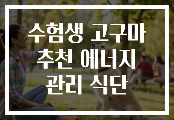 수험생 고구마 추천 에너지 관리 식단