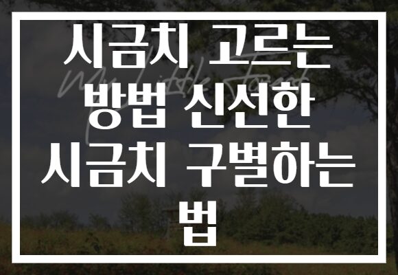 시금치 고르는 방법 신선한 시금치 구별하는 법 시금치 고르는 방법 신선한 시금치 구별하는 법