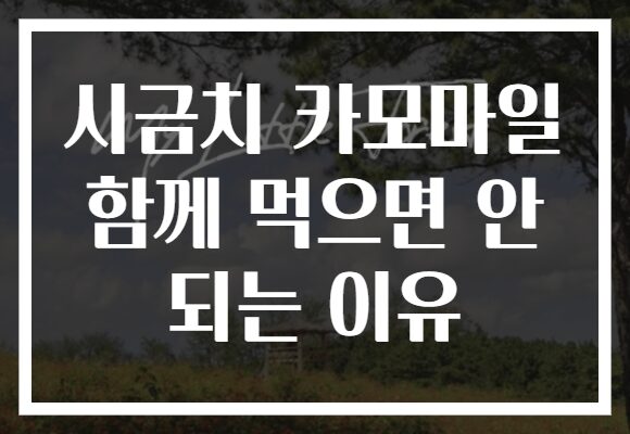 시금치 카모마일 함께 먹으면 안 되는 이유