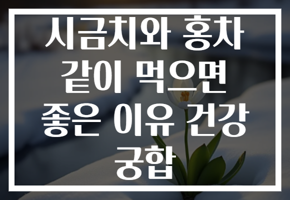 시금치와 홍차 같이 먹으면 좋은 이유 건강 궁합 시금치와 홍차 같이 먹으면 좋은 이유 건강 궁합
