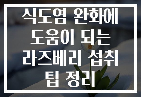 식도염 완화에 도움이 되는 라즈베리 섭취 팁 정리