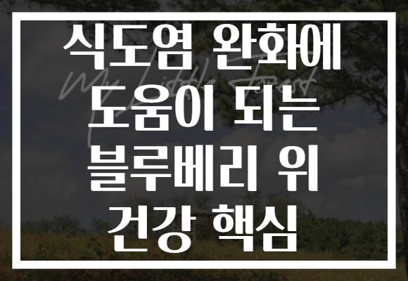 식도염 완화에 도움이 되는 블루베리 위 건강 핵심 식도염 완화에 도움이 되는 블루베리 위 건강 핵심