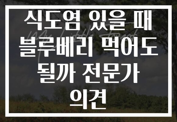 식도염 있을 때 블루베리 먹어도 될까 전문가 의견