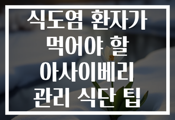 식도염 환자가 먹어야 할 아사이베리 관리 식단 팁 식도염 환자가 먹어야 할 아사이베리 관리 식단 팁