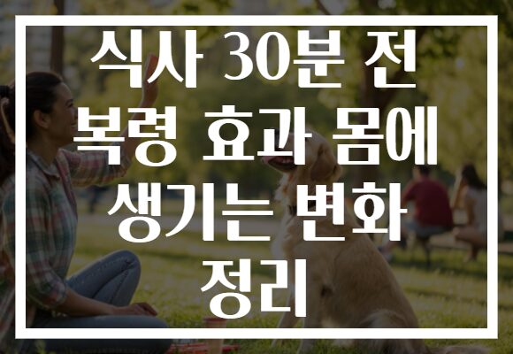 식사 30분 전 복령 효과 몸에 생기는 변화 정리 식사 30분 전 복령 효과 몸에 생기는 변화 정리