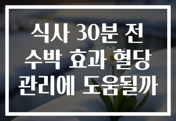 식사 30분 전 수박 효과 혈당 관리에 도움될까