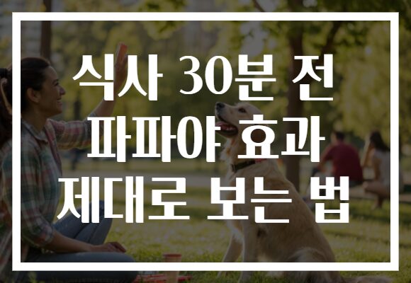 식사 30분 전 파파야 효과 제대로 보는 법