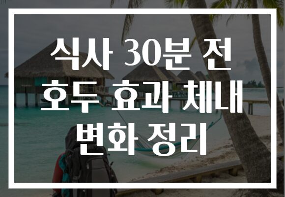 식사 30분 전 호두 효과 체내 변화 정리