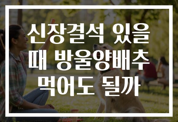 신장결석 있을 때 방울양배추 먹어도 될까 신장결석 있을 때 방울양배추 먹어도 될까
