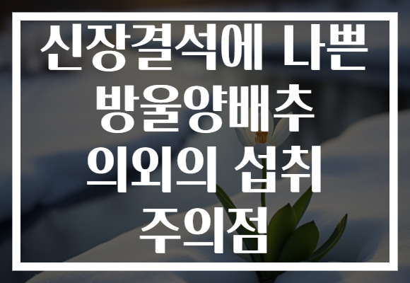 신장결석에 나쁜 방울양배추 의외의 섭취 주의점