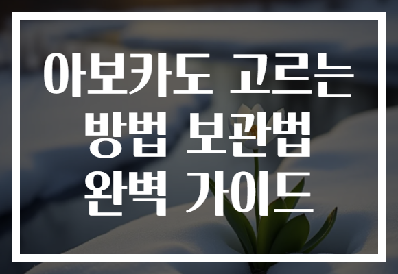 아보카도 고르는 방법 보관법 완벽 가이드