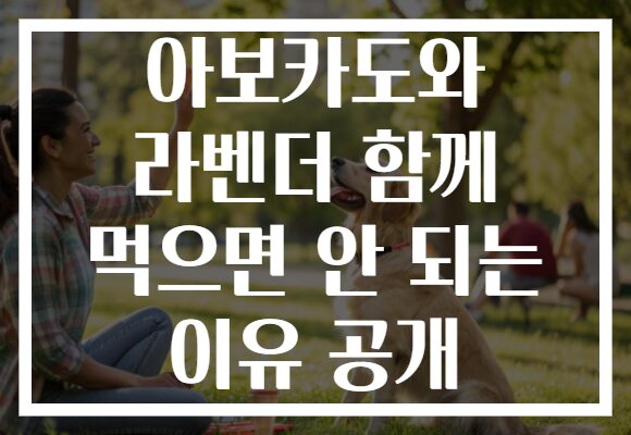 아보카도와 라벤더 함께 먹으면 안 되는 이유 공개 아보카도와 라벤더 함께 먹으면 안 되는 이유 공개