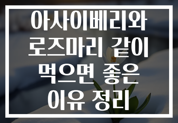 아사이베리와 로즈마리 같이 먹으면 좋은 이유 정리 아사이베리와 로즈마리 같이 먹으면 좋은 이유 정리
