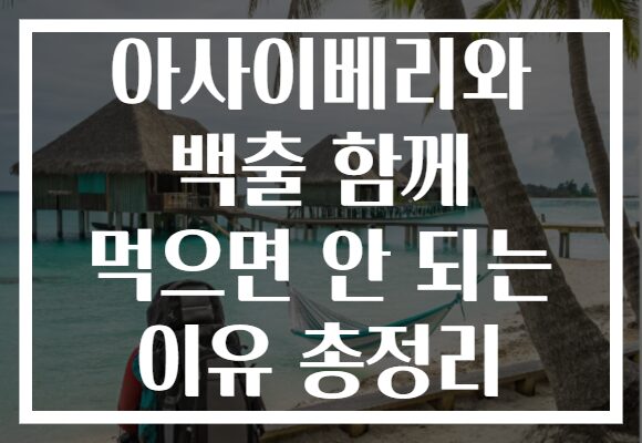 아사이베리와 백출 함께 먹으면 안 되는 이유 총정리