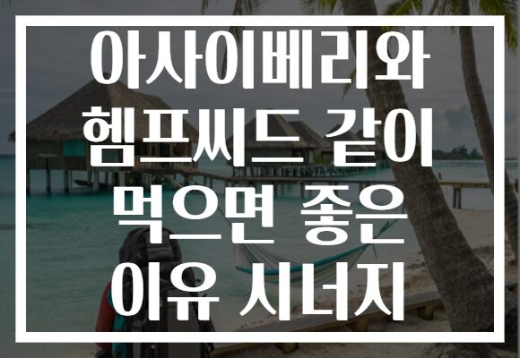 아사이베리와 헴프씨드 같이 먹으면 좋은 이유 시너지