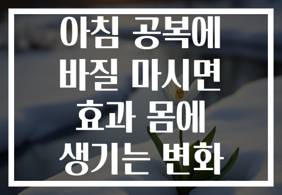 아침 공복에 바질 마시면 효과 몸에 생기는 변화 아침 공복에 바질 마시면 효과 몸에 생기는 변화