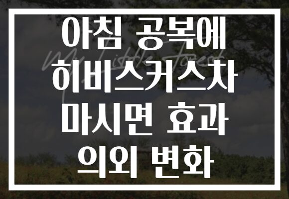 아침 공복에 히비스커스차 마시면 효과 의외 변화 아침 공복에 히비스커스차 마시면 효과 의외 변화