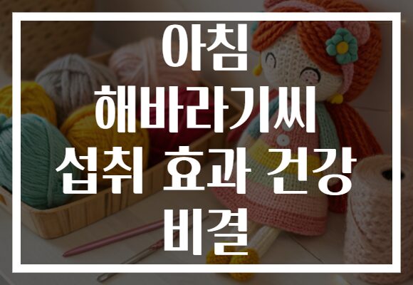 아침 해바라기씨 섭취 효과 건강 비결