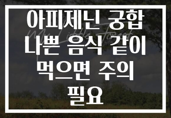 아피제닌 궁합 나쁜 음식 같이 먹으면 주의 필요 아피제닌 궁합 나쁜 음식 같이 먹으면 주의 필요