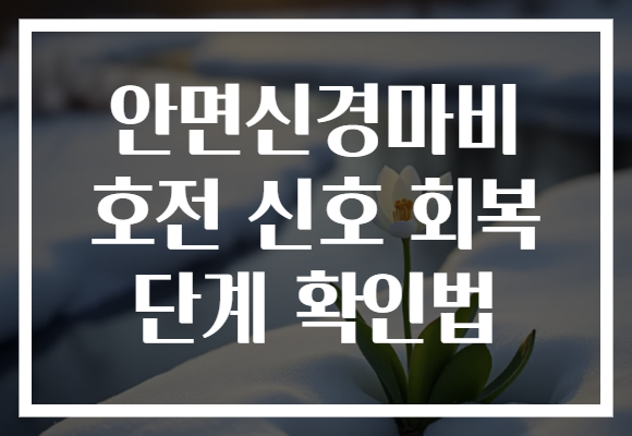 안면신경마비 호전 신호 회복 단계 확인법