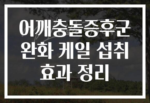 어깨충돌증후군 완화 케일 섭취 효과 정리