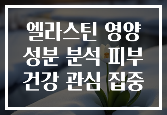 엘라스틴 영양 성분 분석 피부 건강 관심 집중 엘라스틴 영양 성분 분석 피부 건강 관심 집중