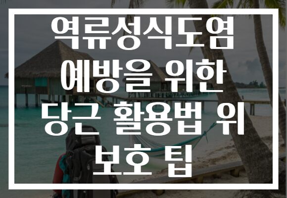 역류성식도염 예방을 위한 당근 활용법 위 보호 팁