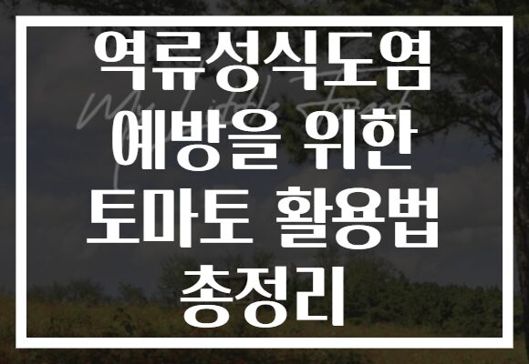 역류성식도염 예방을 위한 토마토 활용법 총정리 역류성식도염 예방을 위한 토마토 활용법 총정리