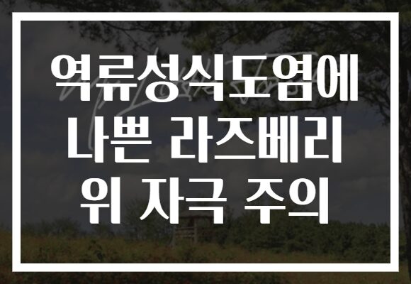 역류성식도염에 나쁜 라즈베리 위 자극 주의