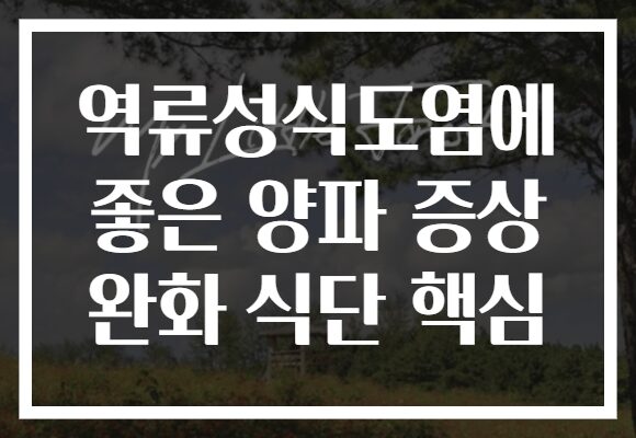 역류성식도염에 좋은 양파 증상 완화 식단 핵심