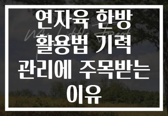 연자육 한방 활용법 기력 관리에 주목받는 이유 연자육 한방 활용법 기력 관리에 주목받는 이유