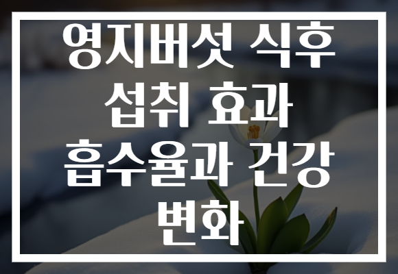 영지버섯 식후 섭취 효과 흡수율과 건강 변화