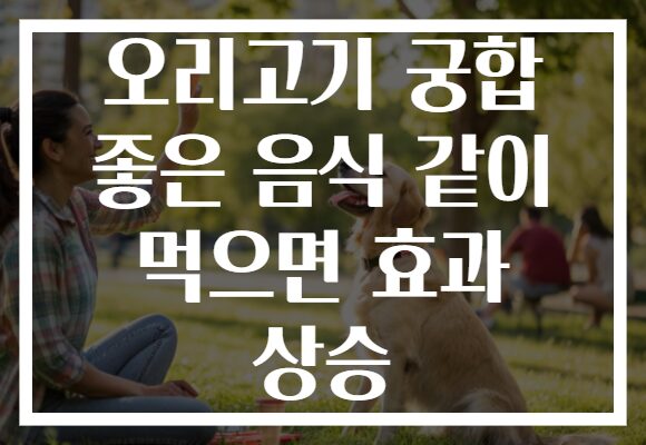 오리고기 궁합 좋은 음식 같이 먹으면 효과 상승 오리고기 궁합 좋은 음식 같이 먹으면 효과 상승