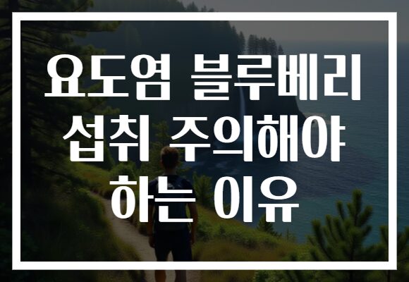 요도염 블루베리 섭취 주의해야 하는 이유