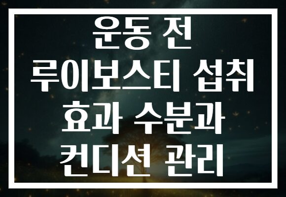 운동 전 루이보스티 섭취 효과 수분과 컨디션 관리
