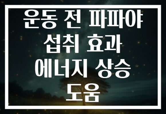 운동 전 파파야 섭취 효과 에너지 상승 도움
