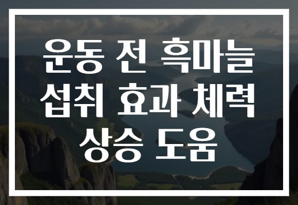 운동 전 흑마늘 섭취 효과 체력 상승 도움