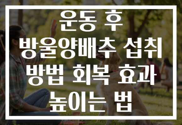 운동 후 방울양배추 섭취 방법 회복 효과 높이는 법