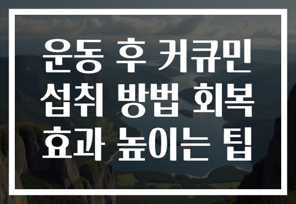 운동 후 커큐민 섭취 방법 회복 효과 높이는 팁