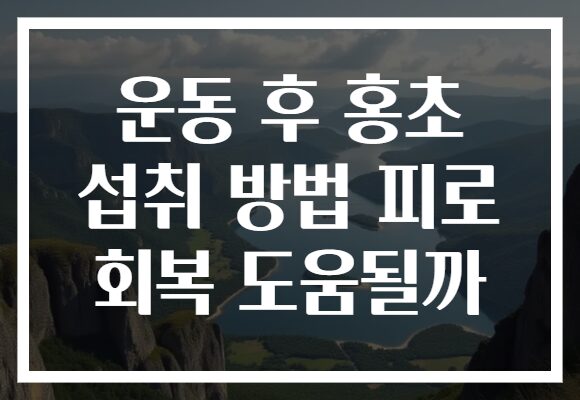 운동 후 홍초 섭취 방법 피로 회복 도움될까 운동 후 홍초 섭취 방법 피로 회복 도움될까