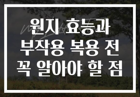원지 효능과 부작용 복용 전 꼭 알아야 할 점