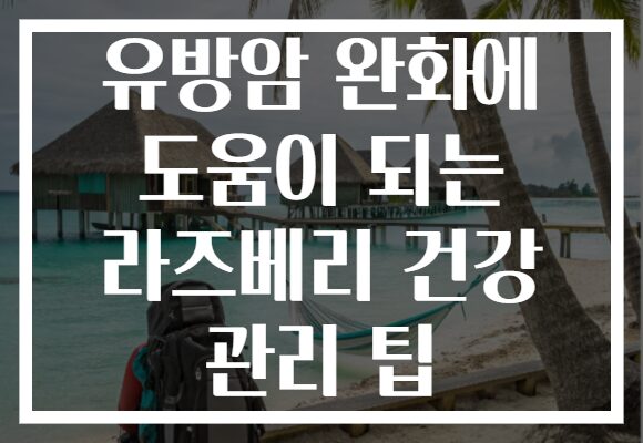 유방암 완화에 도움이 되는 라즈베리 건강 관리 팁 유방암 완화에 도움이 되는 라즈베리 건강 관리 팁