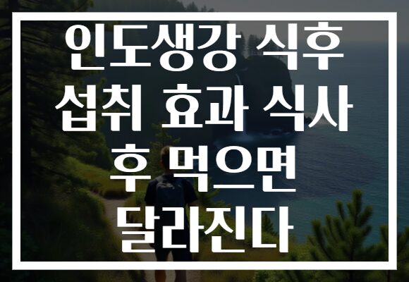 인도생강 식후 섭취 효과 식사 후 먹으면 달라진다 인도생강 식후 섭취 효과 식사 후 먹으면 달라진다