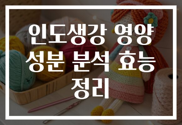 인도생강 영양 성분 분석 효능 정리