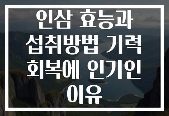 인삼 효능과 섭취방법 기력 회복에 인기인 이유