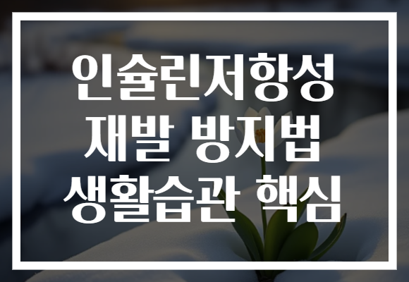 인슐린저항성 재발 방지법 생활습관 핵심