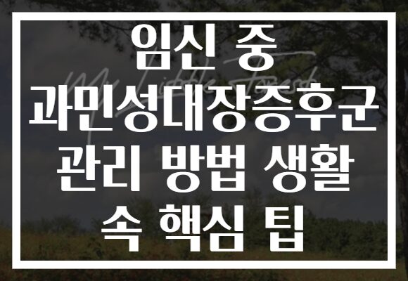 임신 중 과민성대장증후군 관리 방법 생활 속 핵심 팁